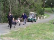 Shots around the traps